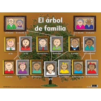 Affiche : Espagnol - El Arbol de Familia